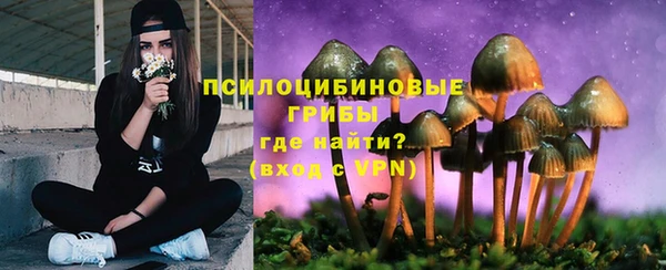 Альфа ПВП Ростов