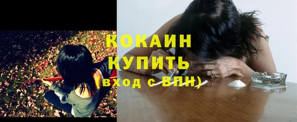 молекула духа Рославль